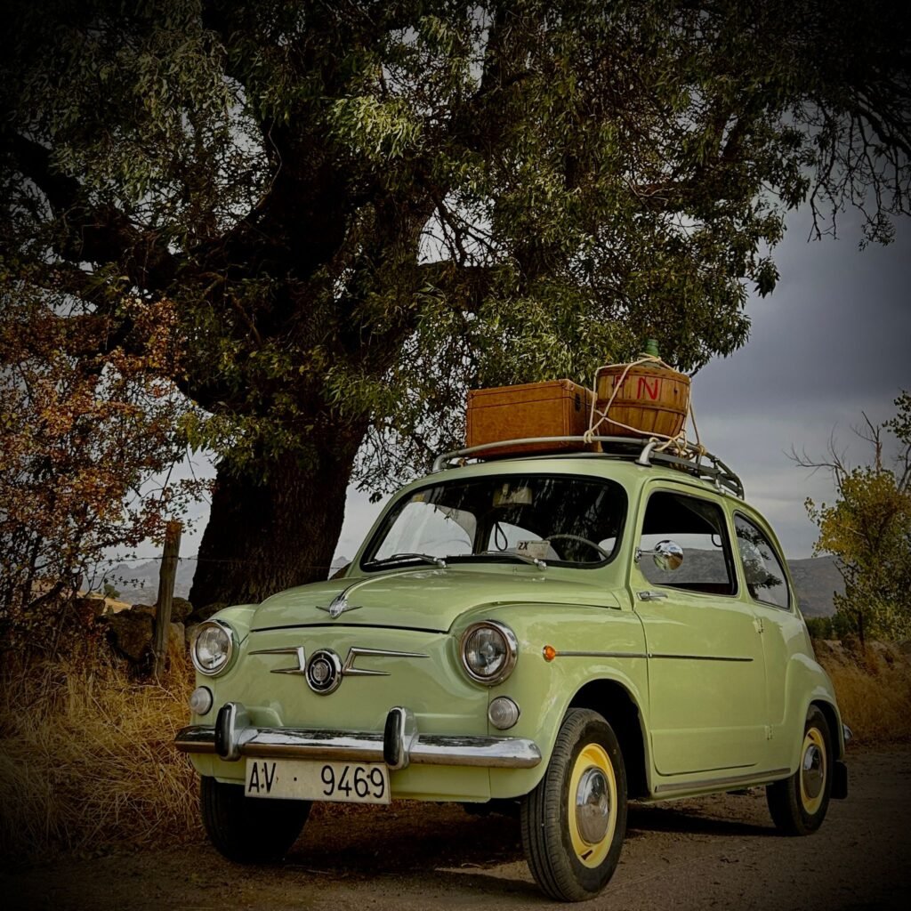 94387c5a b063 422d ac6f 84cdb6d41e7e 2